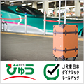 びゅうトラベル（えきねっと JR東日本国内ツアー）