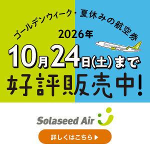 ソラシド エア　航空券購入