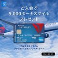 DELTA AMEX カード
