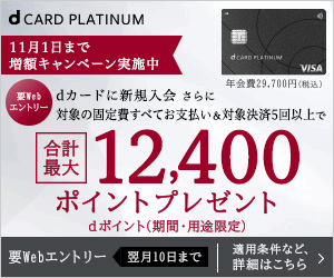 NTTドコモ「新規申込限定」dカード PLATINUM（プラチナ）×家族カード発行