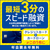 プロミスVisaカード