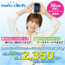 それがだいじWi-Fi